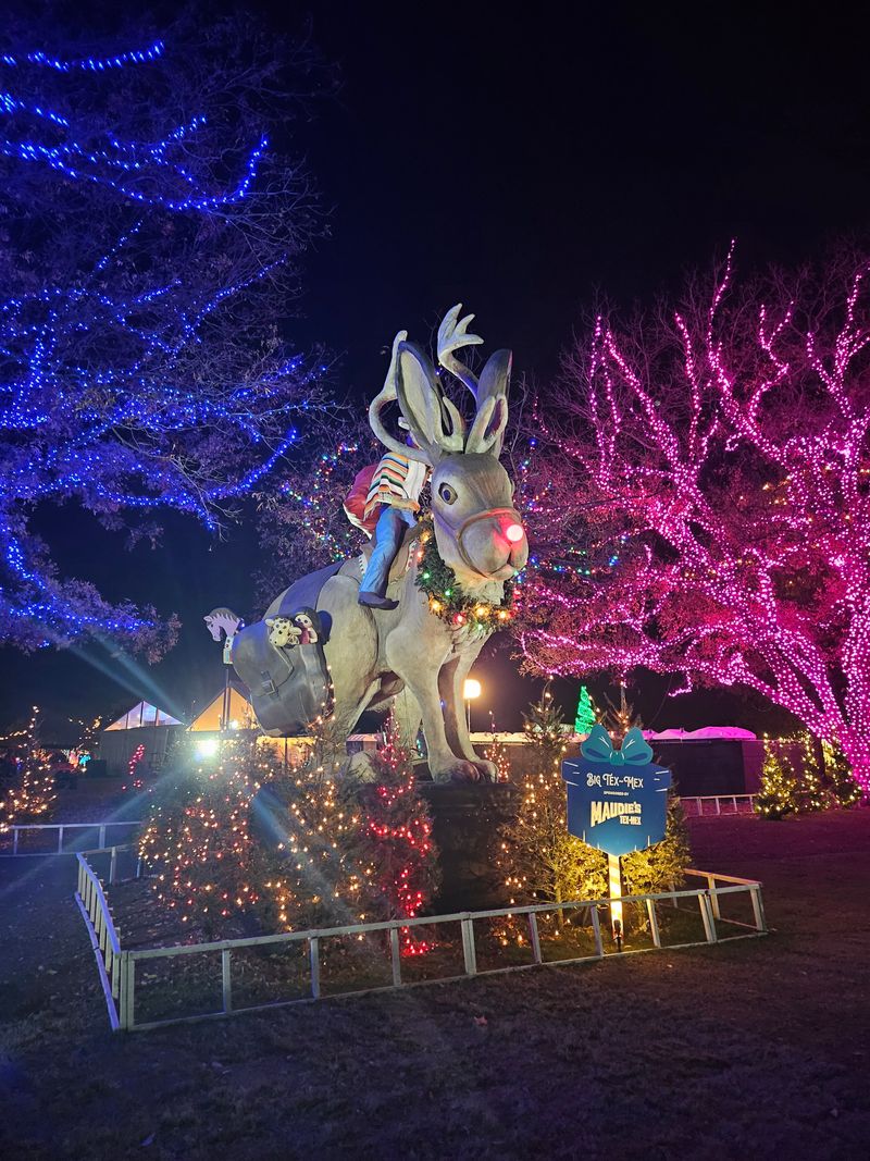 Austin Trail of Lights and City Sparkle