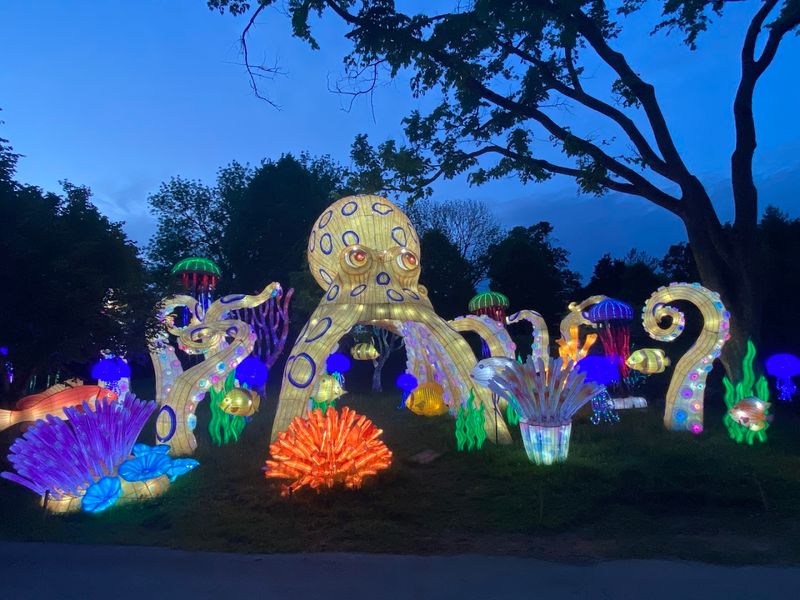 Magical Ocean Realm Where The Deep Sea Comes Alive