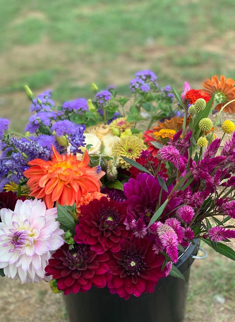 Pre-Made Bouquets For When You Want Beauty Without The Work Pre-Made Bouquets For When You Want Beauty Without The Work