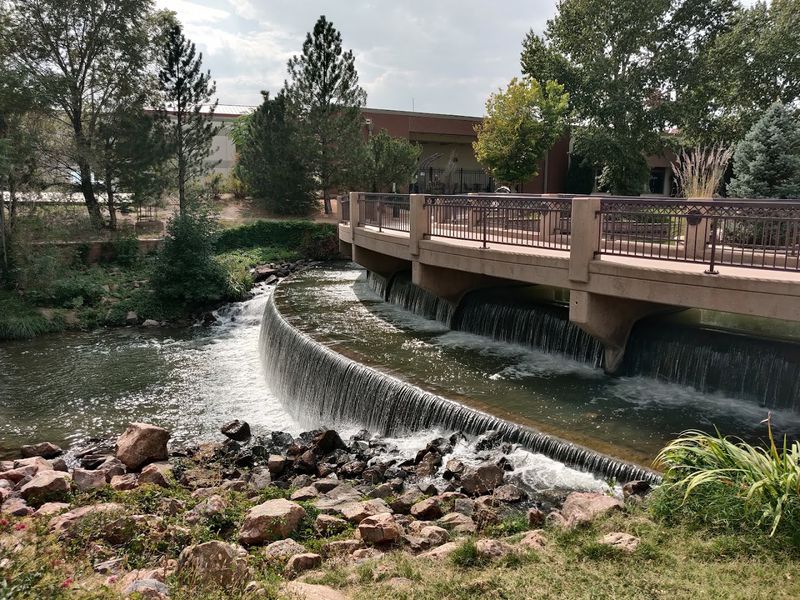 The Line You Text Later