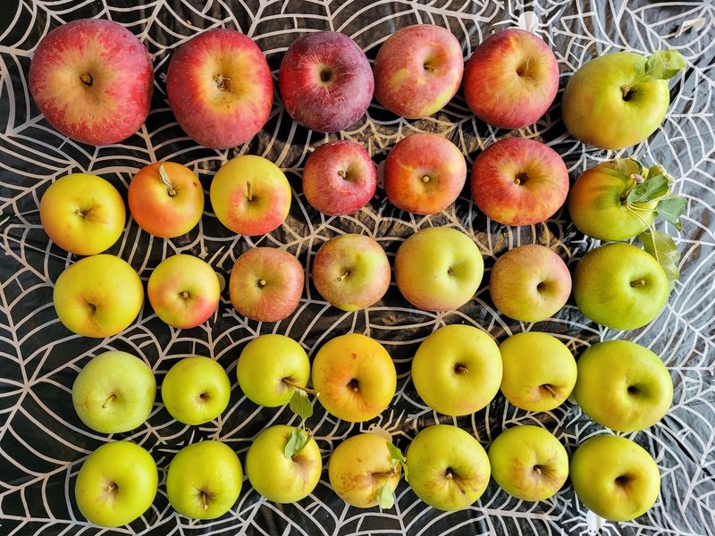 Pre-Picked Fruit For The Less Ambitious Crowd