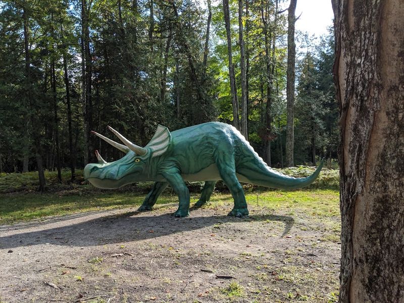 Soundtrack In The Trees