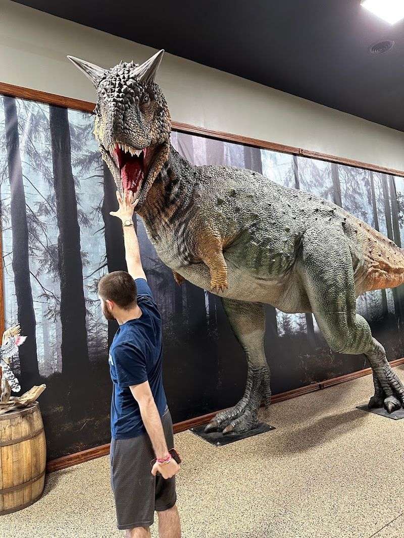 Prehistoric and toy museum surprise