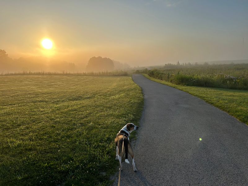 Prepare for heat, wet ground, and ticks
