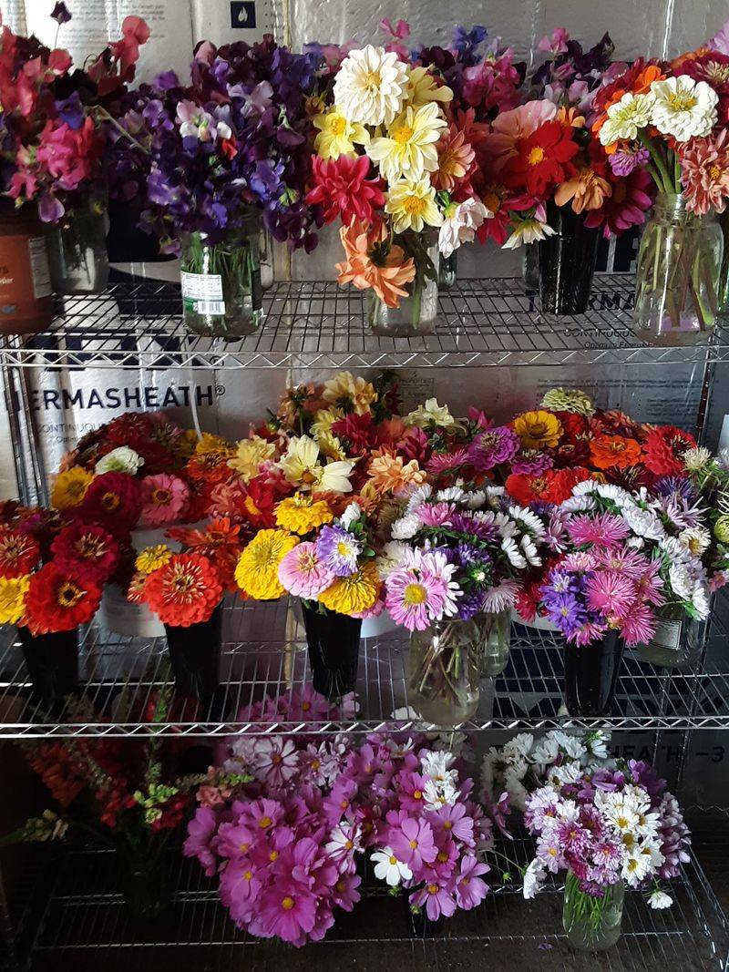 Prepared Goods Bring Regional Flavor Into The Farm Store Prepared Goods Bring Regional Flavor Into The Farm Store