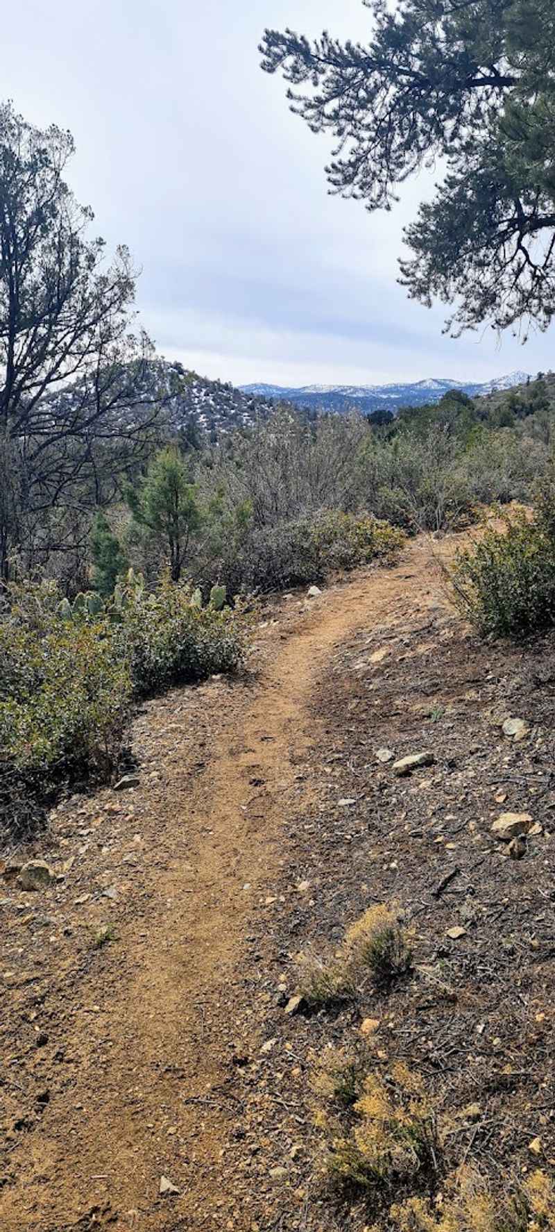 Prescott Circle Trail, Prescott Prescott Circle Trail, Prescott