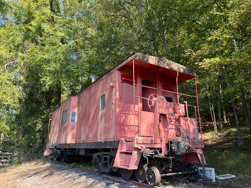 Guided Tours And Golf Cart Adventures
