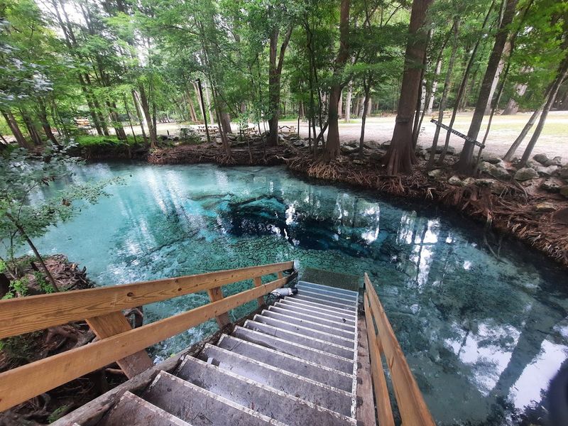 Preserved Natural Beauty And Wildlife Preserved Natural Beauty And Wildlife