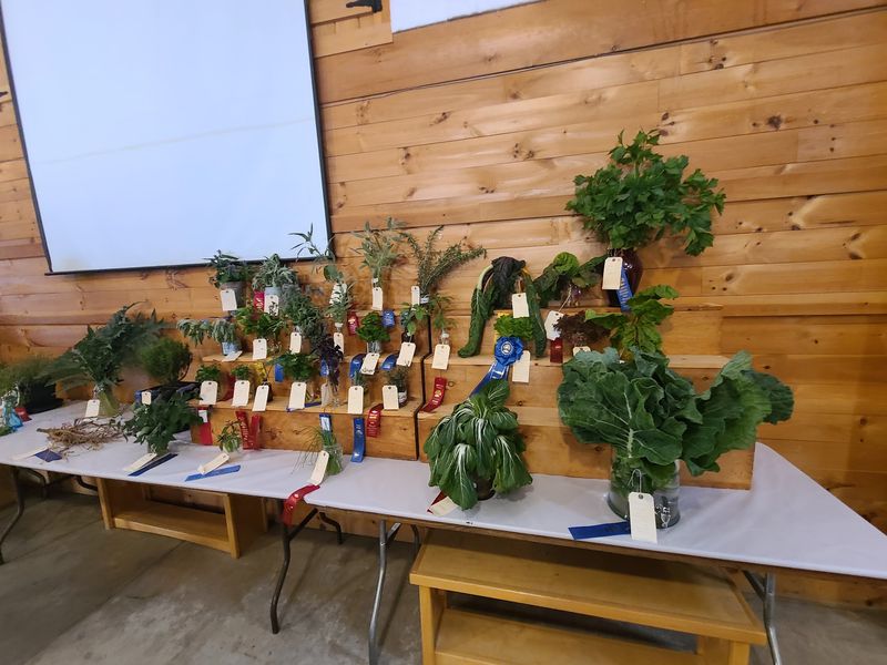 Pretzel Pruning Is Real, And You Can Learn It