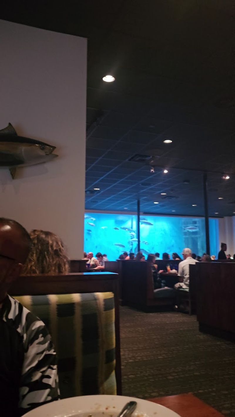 Hours Of Operation And Best Times