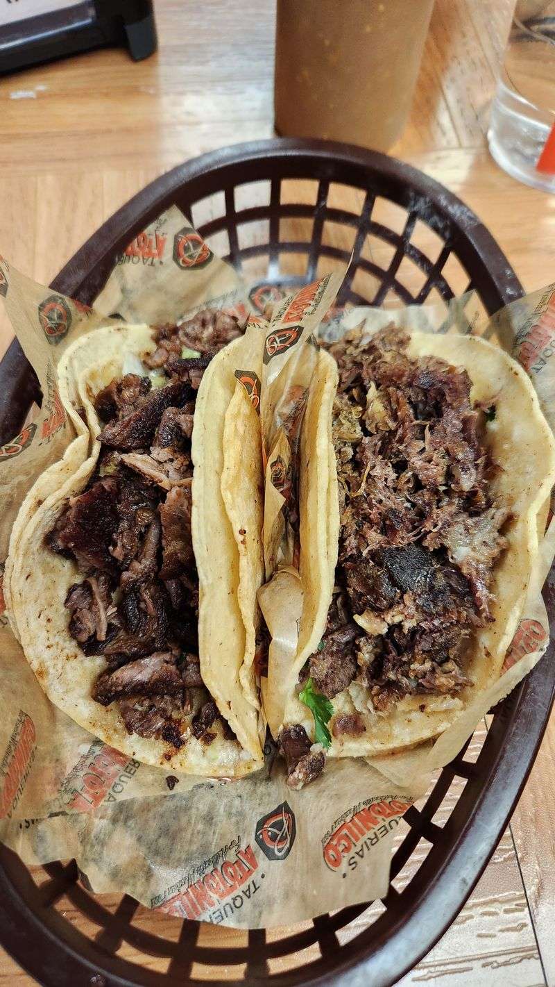 Hours, Crowds, And Best Times To Visit