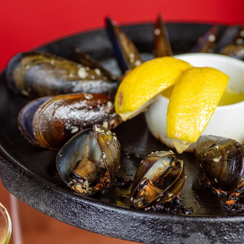 How To Get The Most Out Of Your Visit