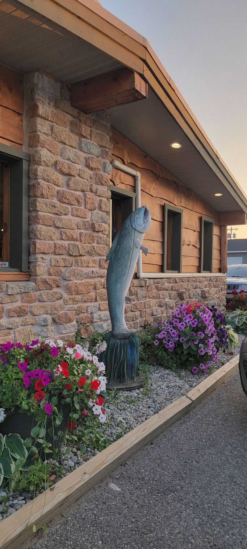 Tips for Newcomers And What Makes It Unique