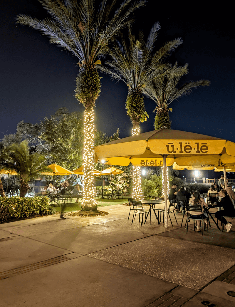 Hours, Best Times To Visit, And Final Take