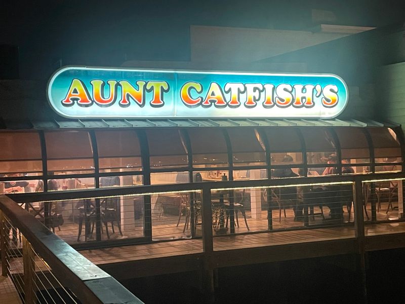 Hours, Contact, And Practical Tips For First-Timers