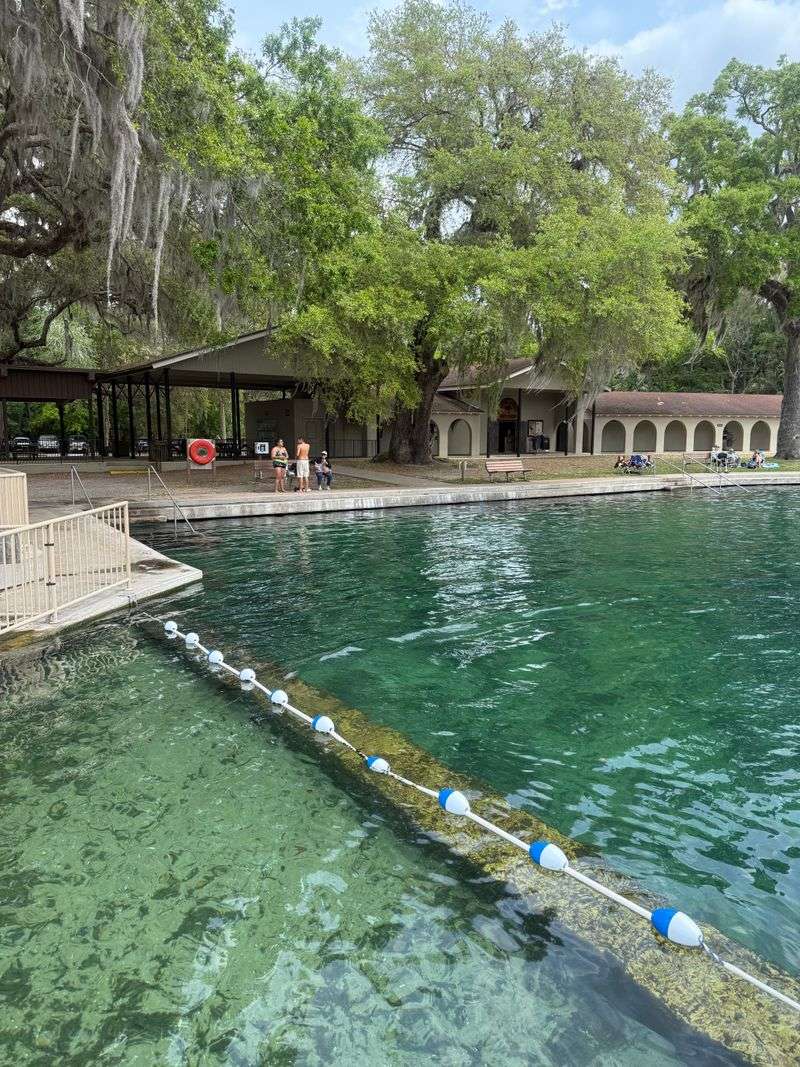 Swimming, Springs, and After Breakfast Fun