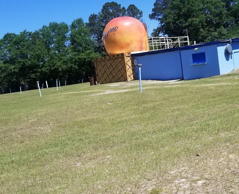 The Concession Stand And The Giant Peach Building