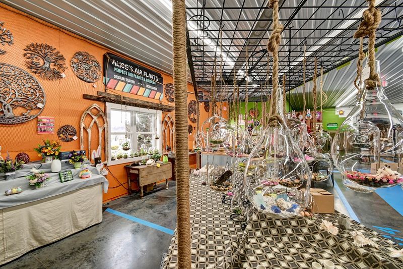 The Amish Connection and Local Character