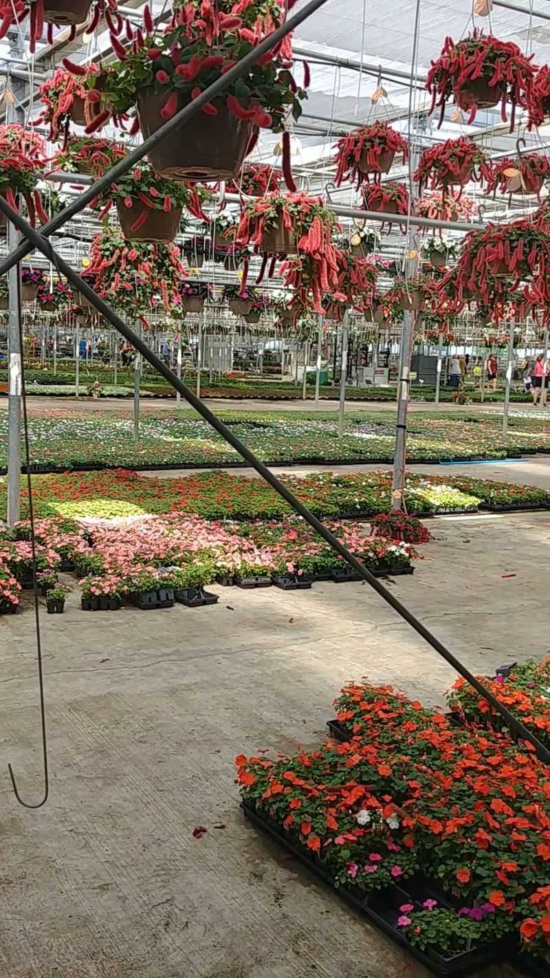 Prices That Make Gardeners Smile