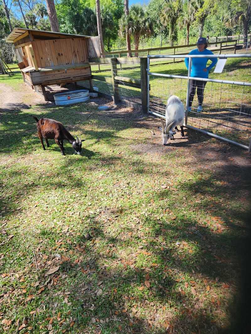 Insider Tips For First-Time Visitors