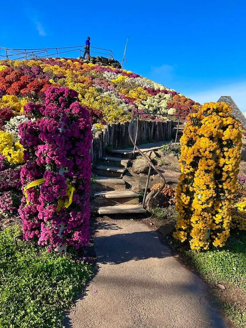 How to Plan Your Visit To Ott's In Schwenksville