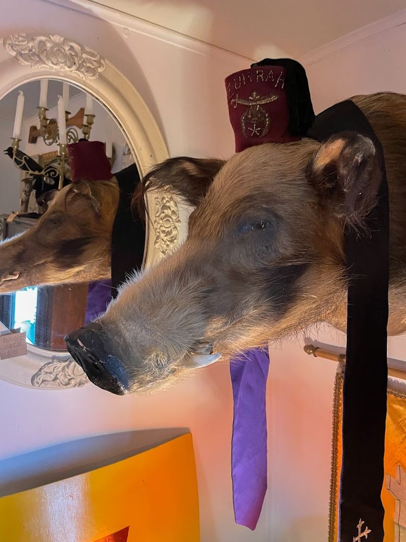 Why Mudlark Oddities Belongs On Every Seattle Bucket List