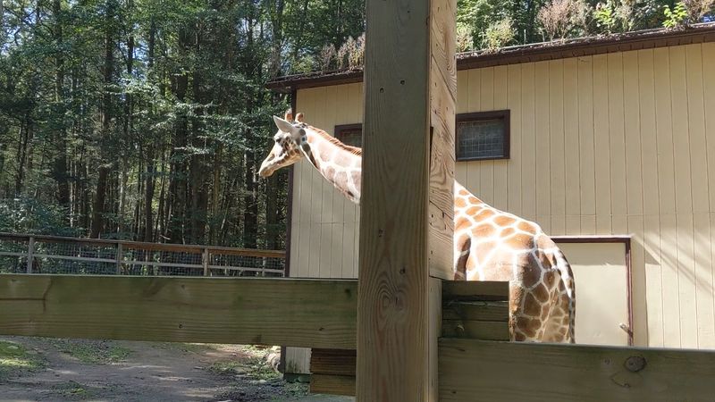 Accessibility And Terrain Considerations For All Visitors