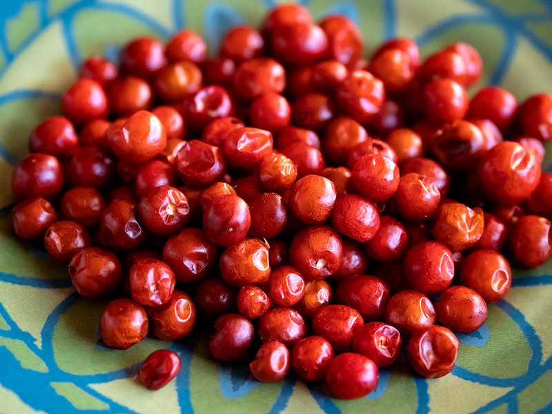 Chiltepins: Tiny Pepper Firebombs