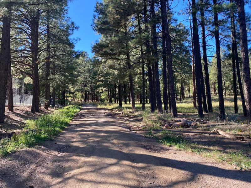 Pride In The Pines, Downtown Flagstaff And Thorpe Park