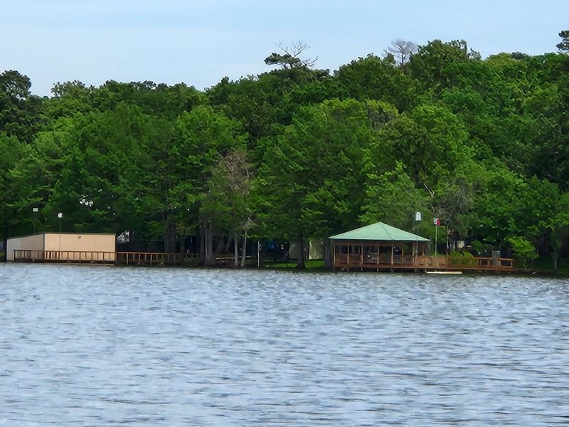 Submerged Timber And Brush Piles That Attract Trophy Fish