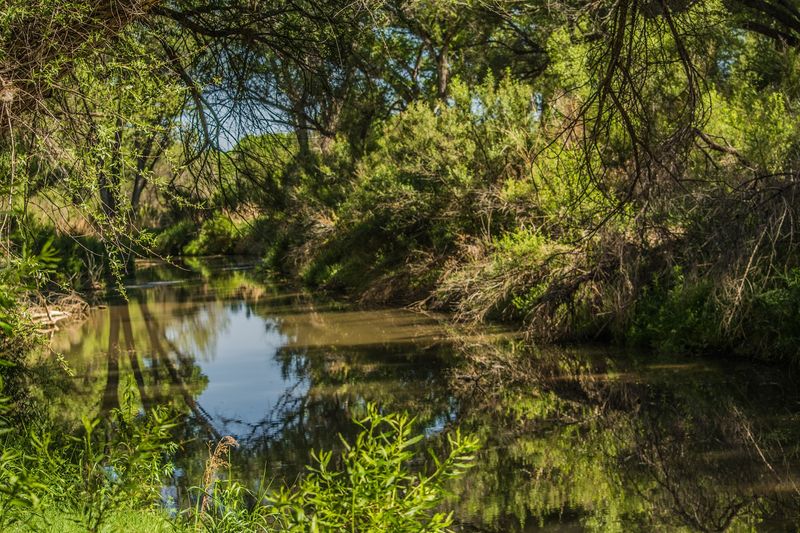 San Pedro Riparian National Conservation Area