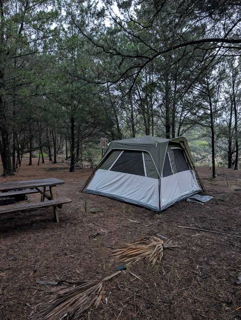 Primitive Camping Is Allowed