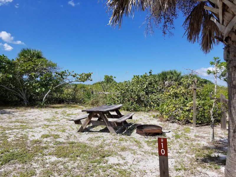 Miles Of Nature Trails Through Diverse Ecosystems