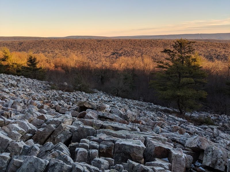 Primitive Sites Near Jo Hays Vista, Rothrock State Forest