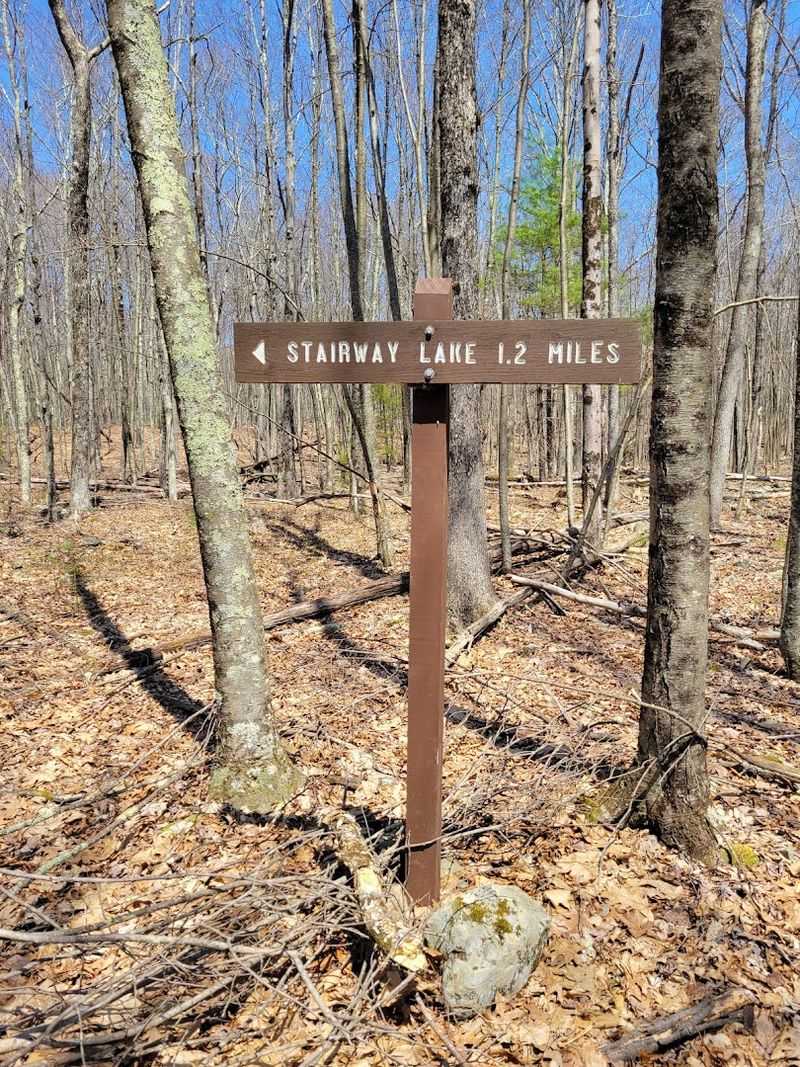 Primitive Sites in Stairway Wild Area, Delaware State Forest