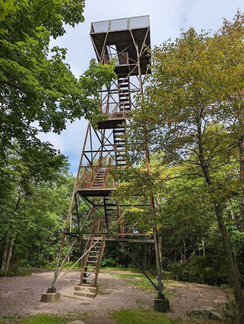 Primitive Sites Near Mount Davis, Forbes State Forest