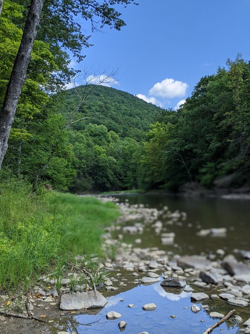 Primitive Sites Near Poe Paddy Drive, Bald Eagle State Forest