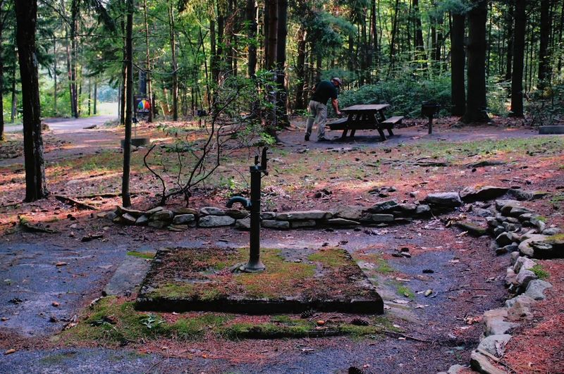 Haldeman Tract Roadside Campsites, Weiser State Forest