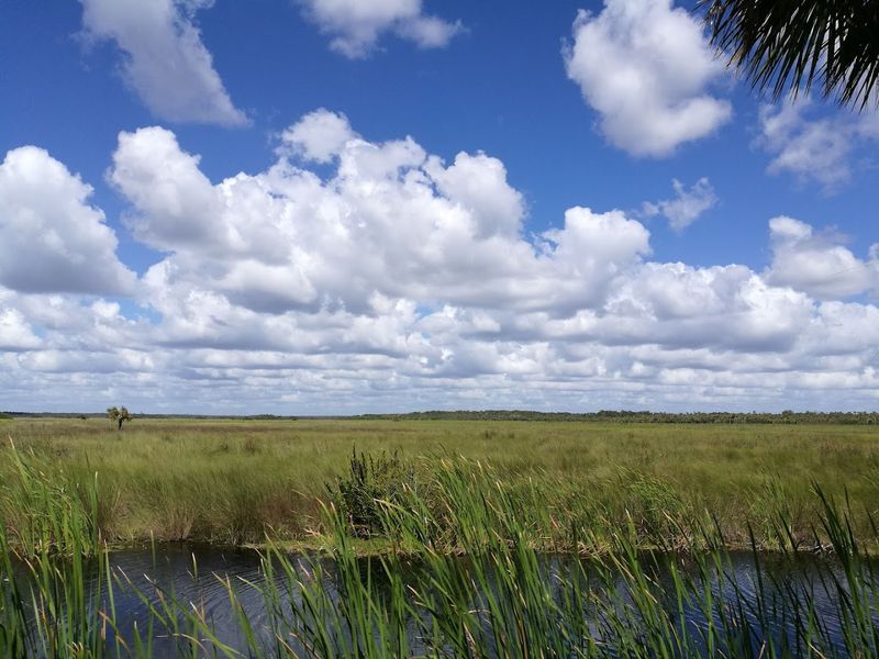 Best Visited During the Dry Season Window