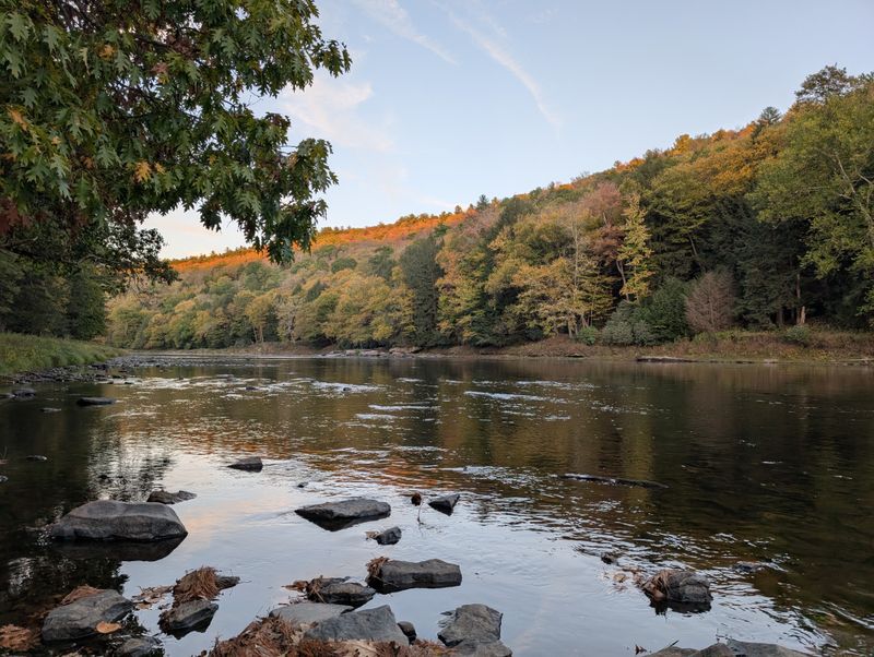 Cook Forest State Park
