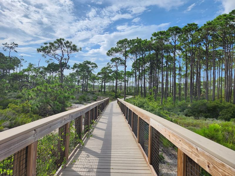 Rich Wildlife And Birdwatching Opportunities