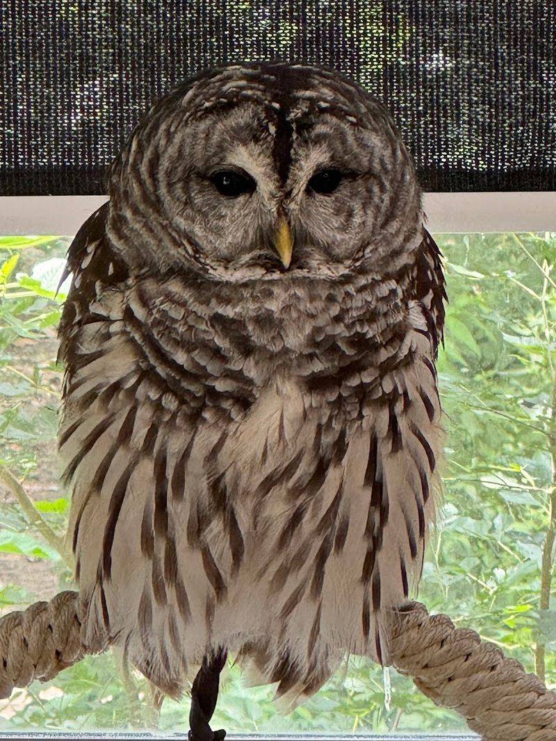 Private Animal Encounters Private Animal Encounters