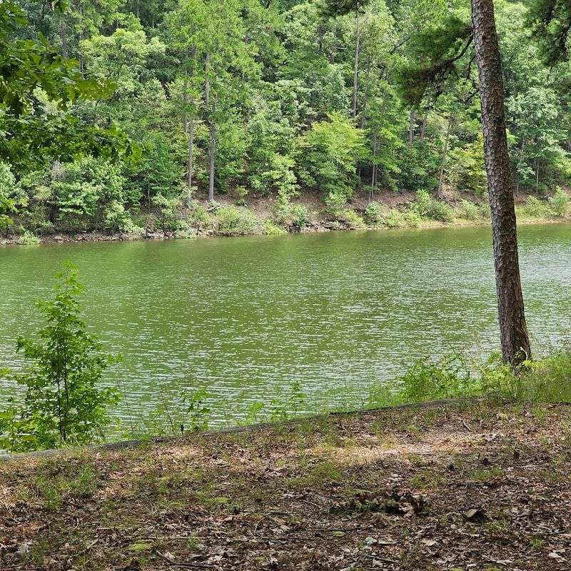 Surrounded By Forests And Quiet Natural Beauty