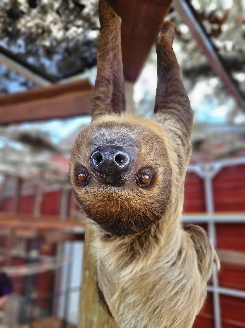 Impeccably Clean Enclosures That Reflect True Dedication