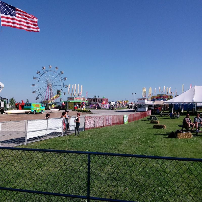 Pro Bull Riding And Rodeo Thrills