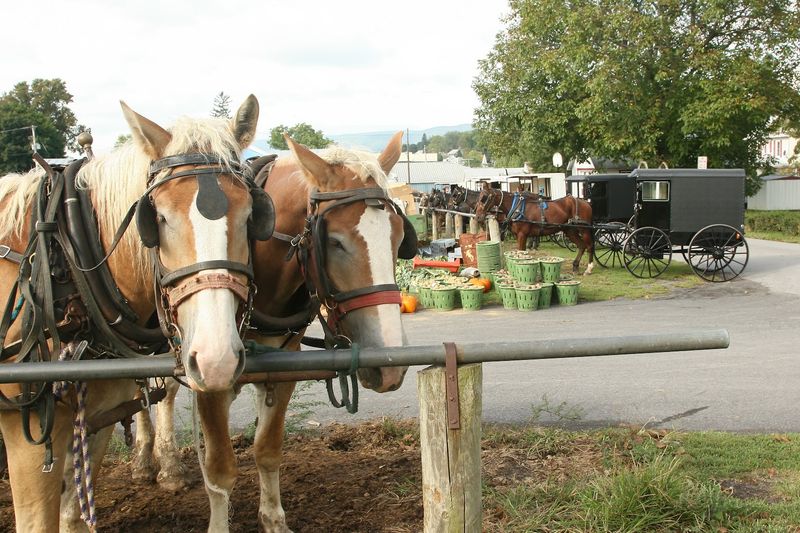 Produce And Plants Are A Big Draw In Spring And Summer