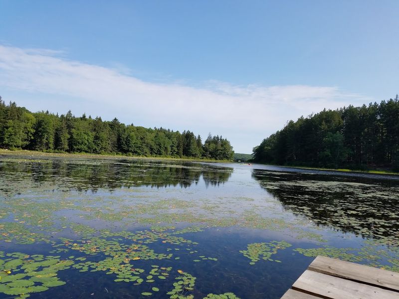 Promised Land Lake, Greentown, Pennsylvania