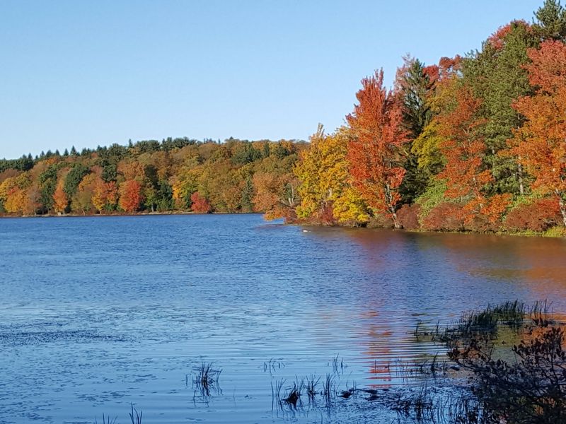 Promised Land State Park Beach, Greentown