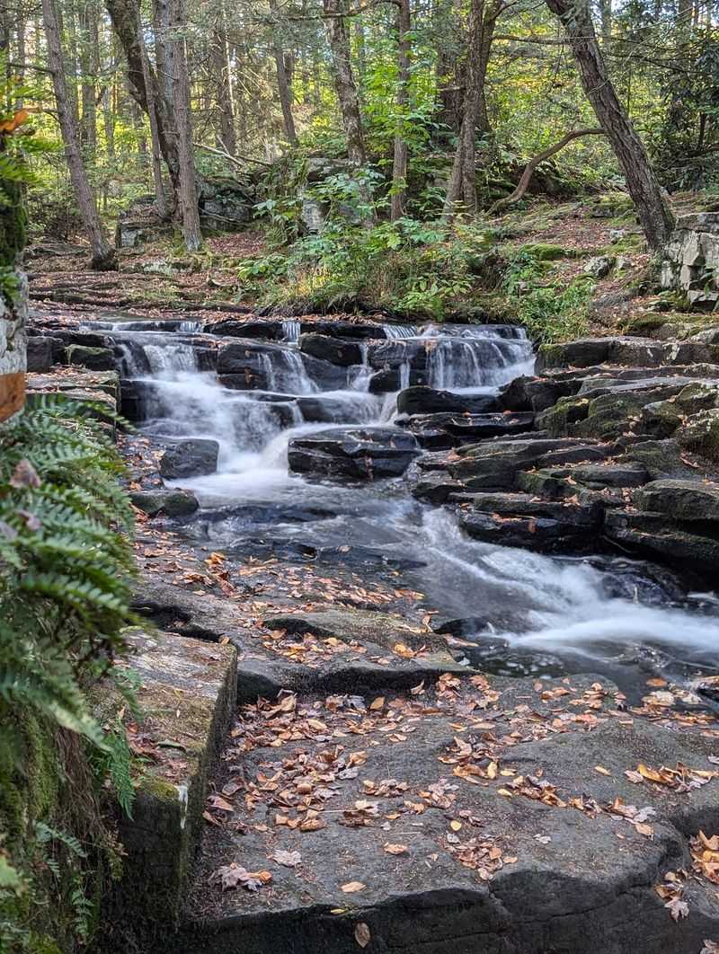 Promised Land State Park, Greentown, Pennsylvania