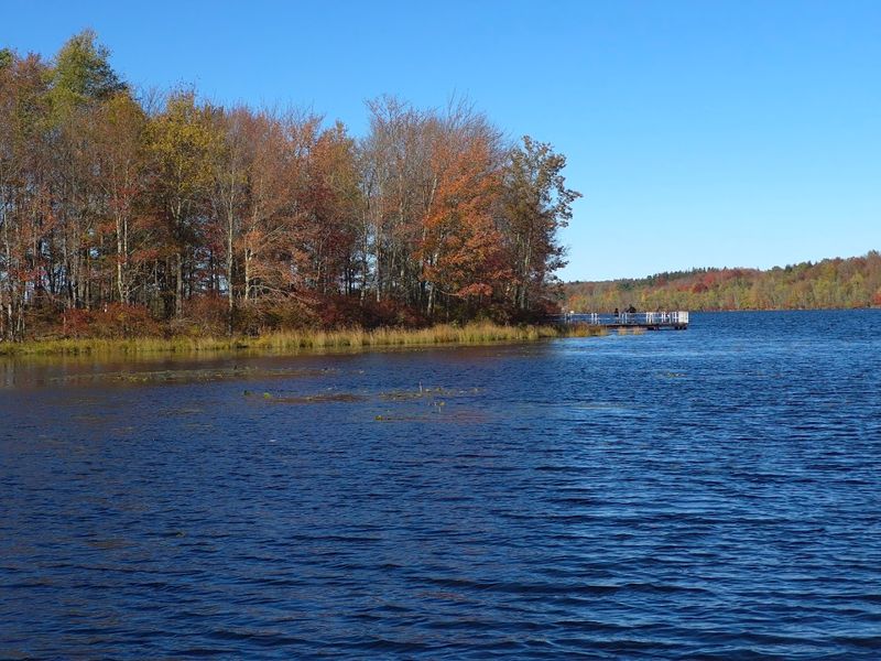 Gouldsboro State Park, Gouldsboro